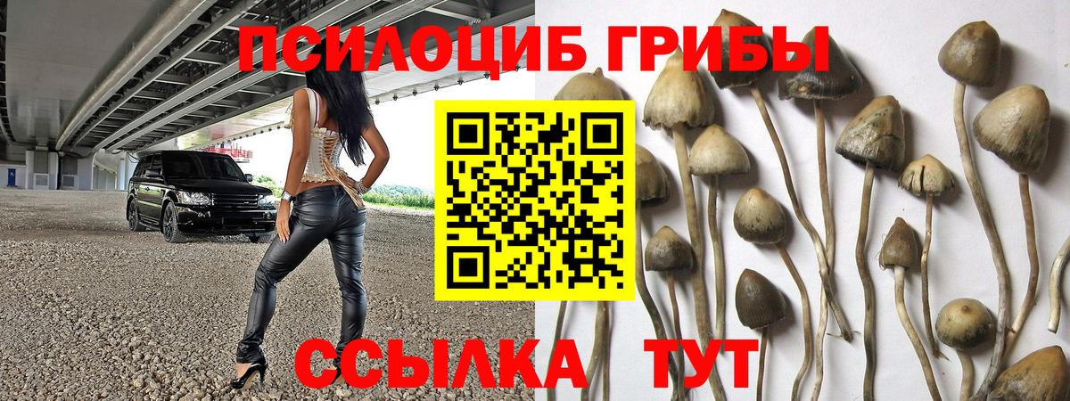 Галлюциногенные грибы Magic Shrooms  Вход с VPN  Нальчик 